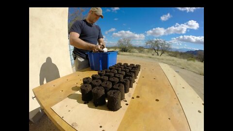 Starting seeds with my soil block maker - Timelapse