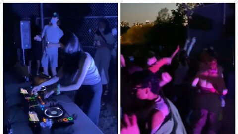 200 Partiers Turned Toronto's Riverdale Park Into An Outdoor Rave Last Night (VIDEO)