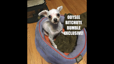 Rumble/Odysee/Bitchute Exclusive Hot Take: Feb 7th 2024 News Blast!
