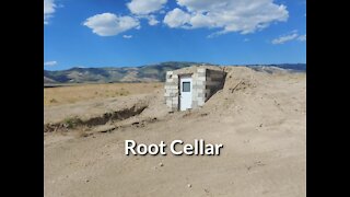 Root Cellar Project