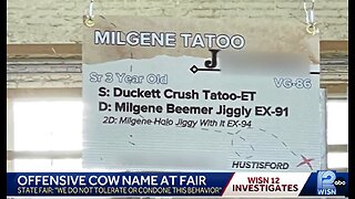 Wisconsin State Fair has a COW over name after attendees' faces turn BLUE STATE