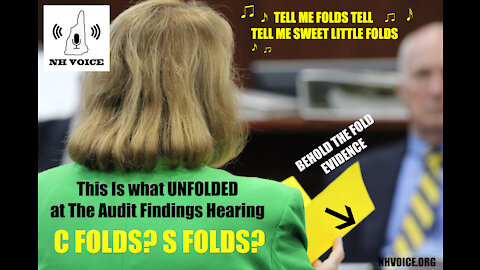 #NHVOICE Senate Bill 43 Forensic Audit Teams Report