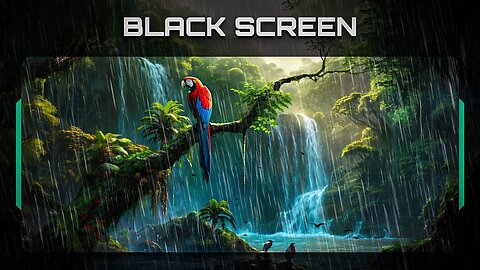 Rain and Thunder Sounds | Jungle Sounds: Birds Chirping, Waterfall Sounds | ASMR | Black Screen 4K