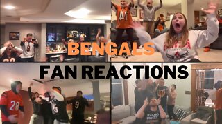 Live fan reactions to the Cincinnati Bengals making the Super Bowl in over 30 years!