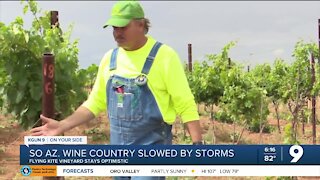 Severe weather sets grape farmer 2 years back