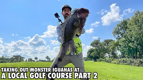 A Local Golf Course Shut Down So I Can Hunt Monster Iguanas