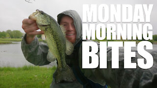 Strike King Ocho Fishing in the Rain | Monday Morning Bites: Episode 11