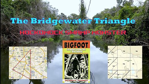 The Bridgewater triangle.👀👣 Stranger than Fiction #bigfoot #cryptids #hockomockswamp