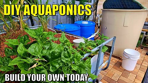 Complete DIY Aquaponics System Build | Fish Tank, Filters, Dual Root Zone & Media Beds