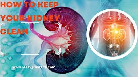 Racoon Reaction: How To Clean Your Kidneys || Keeping Kidneys Clean