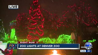 Zoo lights at the Denver Zoo