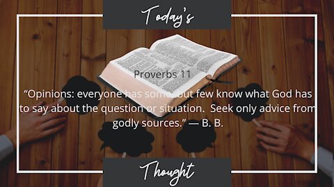 Today's Thought: Proverbs 11 "Opinions: everyone has some"