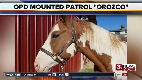 Omaha Police horse named after Kerrie Orozco