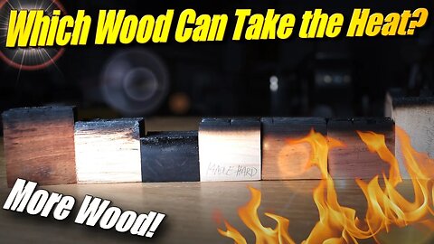 Burning MORE Woods with Molten Aluminum for...Science?
