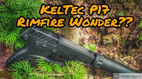 Taking a Look at the KelTec P17- Suppressed!