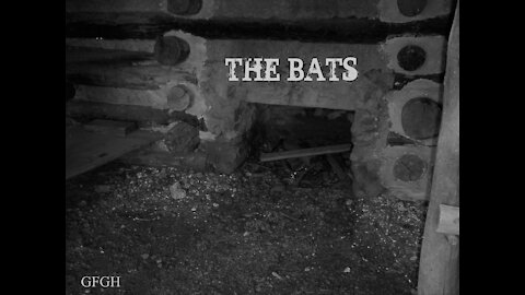 THE BATS (short) - Gallo Family Ghost Hunters