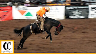 Bronc Riding - 2023 Wellington Pro Rodeo | Friday