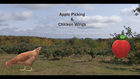 Apple Picking/Foliage Ride Then Grilling Up Some Chicken Wings