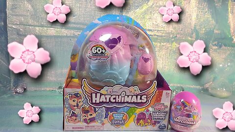 Hatchimals Family Pack Review