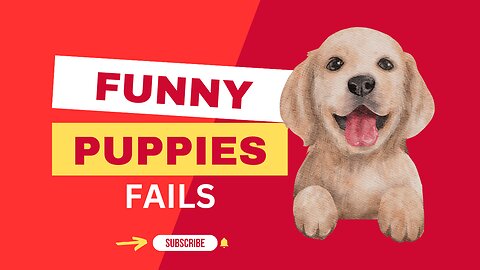Dog Fails ~ Funniest Puppies of the Week ~ NEW ~ Aug 2023