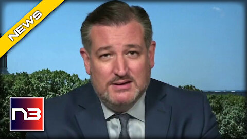 EPIC! Ted Cruz Goes into FULL Defense Mode after liberals Attack Tim Scott