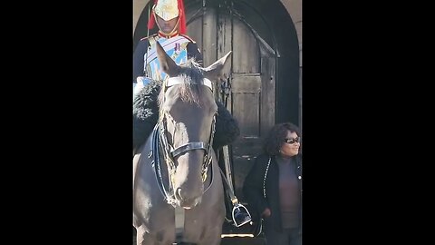 another one likes the boot #horseguardsparade