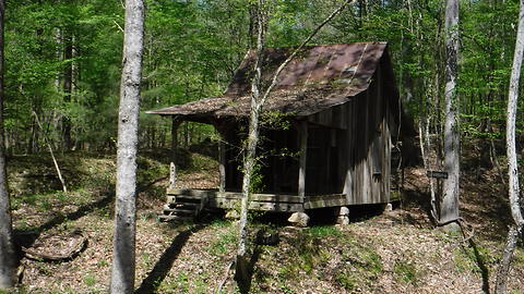 Backroads: Campbell Swamp, Mississippi