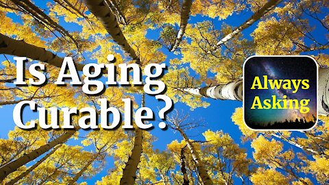 Is Aging Curable? - AlwaysAsking.com