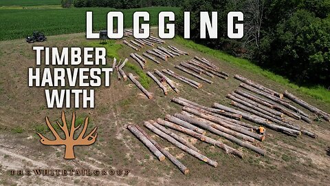 Logging Project: Timber Harvest with The Whitetail Group