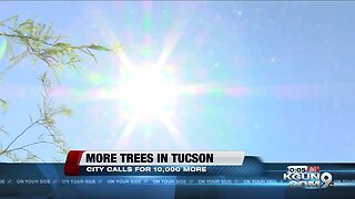 Tucson leaders want to plant 10,000 more trees