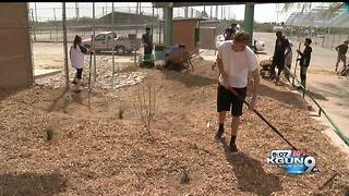 High school students build rain garden