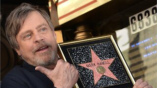 Mark Hamill Clarifies His Living Situation Before Being Cast As Luke
