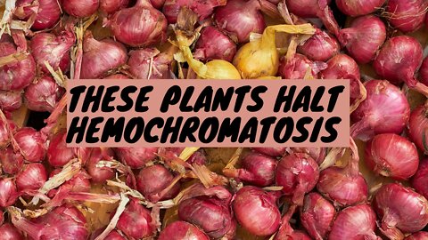 These Plants Halt Hemochromatosis