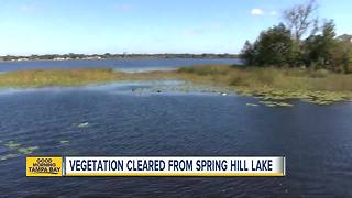 Vegetation cleared from Spring Hill Lake