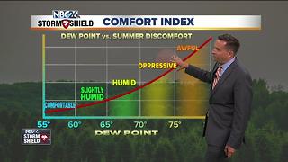 NBC26 Storm Shield Forecast