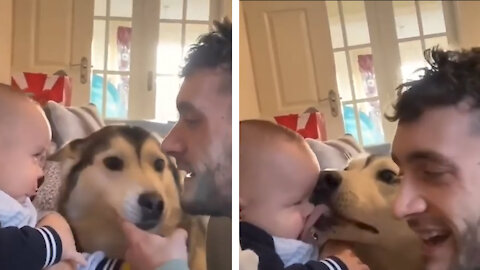 Dog and baby besties play kissing game