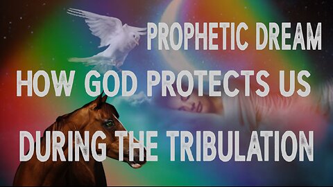 Prophetic Dream - How God Will Protect Us During the Tribulation