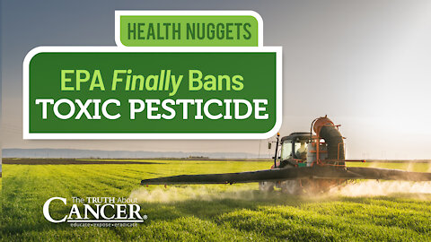 The Truth About Cancer: Health Nugget 37 - EPA Finally Bans Toxic Pesticide