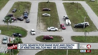 Diane Ruiz person of interest new information