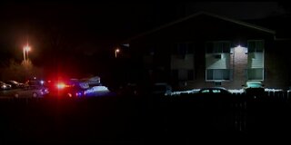 4-year-old boy killed in overnight shooting