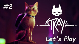 Let's Play - Stray - Part 2