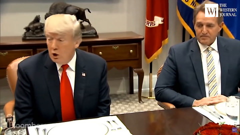 Trump Sits Jeff Flake Next To Him And Knows Just What To Say To Make Him Squirm