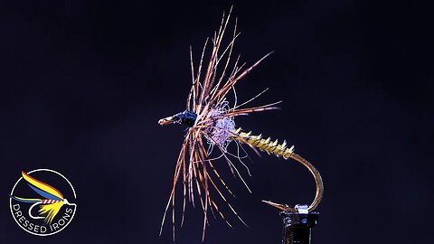 Tying The Turkey Biot BWO - Dressed Irons