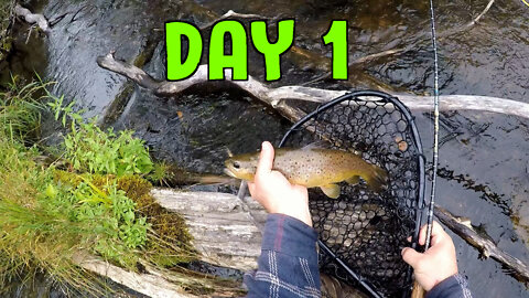 Northern Wisconsin Trout Fishing - Day 1