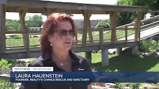 Working in insurance, she felt a calling to help horses get a second chance at life. A year later, she opened up Reality’s Chance, a horse sanctuary in Pleasant Lake.