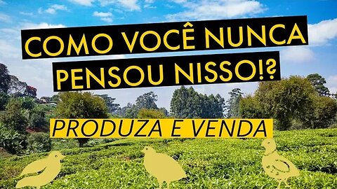 10 OPÇÕES DE CRIAÇÃO PARA VOCÊ CRIAR EM SÍTIO PEQUENO E FAZER RENDA EXTRA