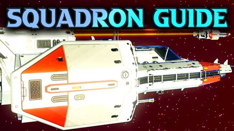 How To Get Matching Ships - No Man's Sky Squadron Guide
