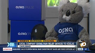 Carlsbad company helping Australian koalas with pain relief device