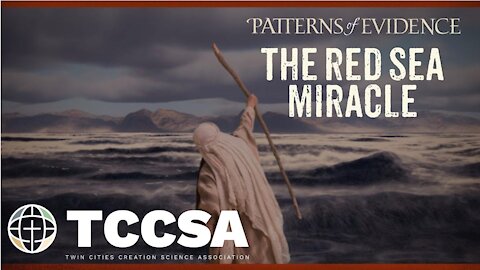 The Red Sea Miracle - Steve Law