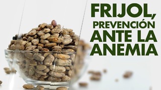 Frijol, prevención ante la anemia.